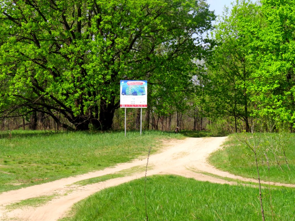 Muromets Route of health2