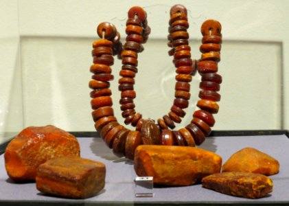 Muzeum Archeologiczne w Poznaniu 11