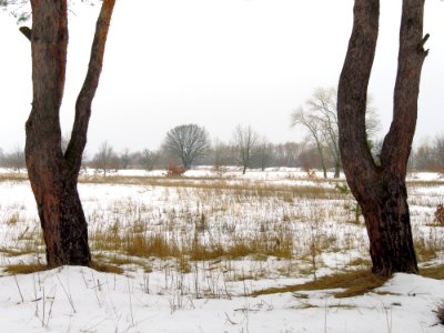 Muromets Winter5