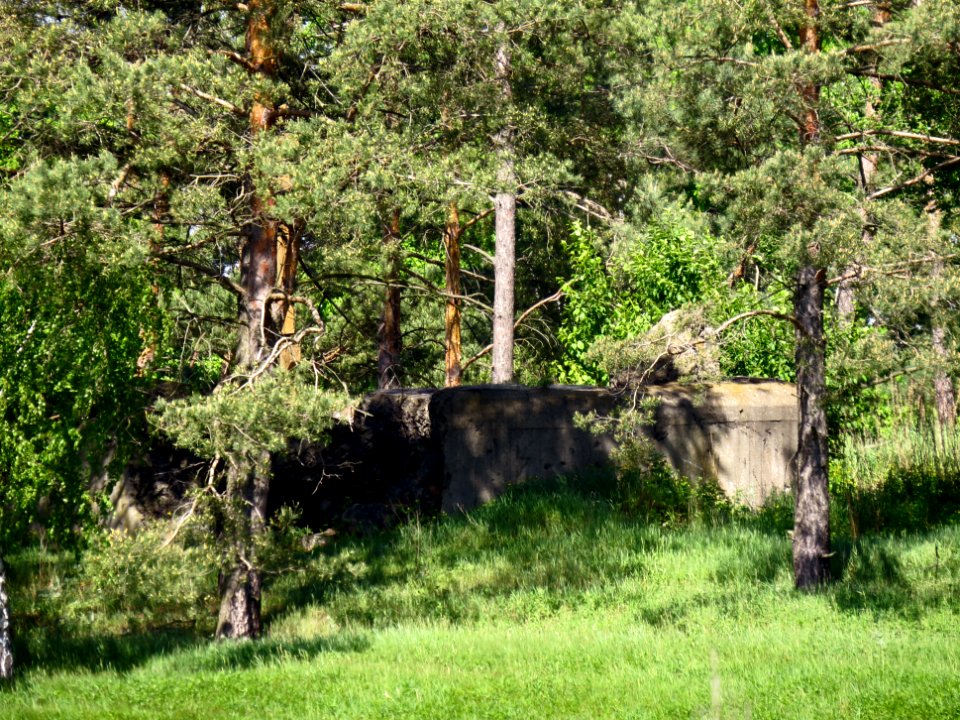Moshchun pillbox1