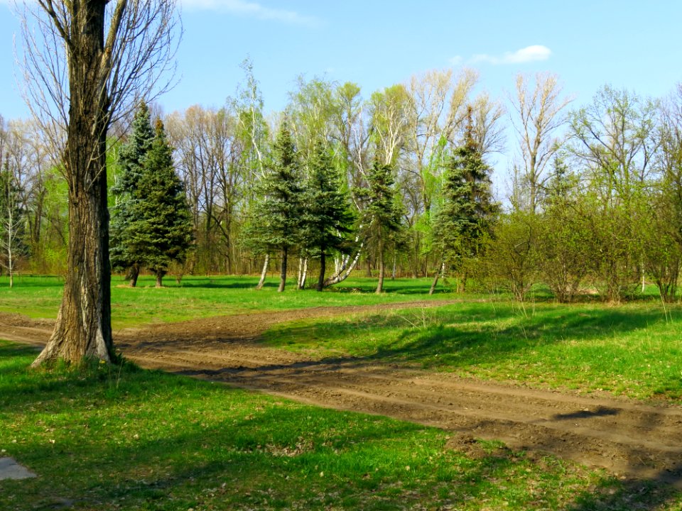 Muromets Park Kyiv 6