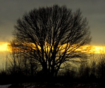Muromets sunset7