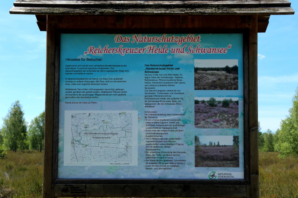NSG Reicherskreuzer Heide und Schwansee 01