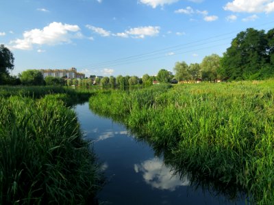 Petropavlivska Borshchagivka Nyvka2