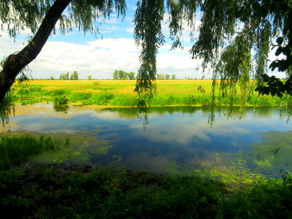 Pohreby Radusen1