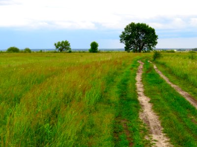 Pohreby meadows4