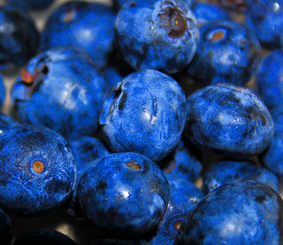 Juicy food blue food