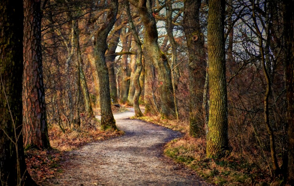 Nature landscape park