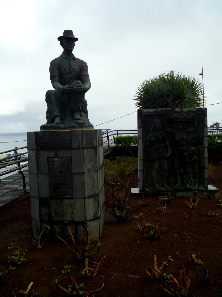 Punta del Hidalgo Sebastian Ramos El Puntero