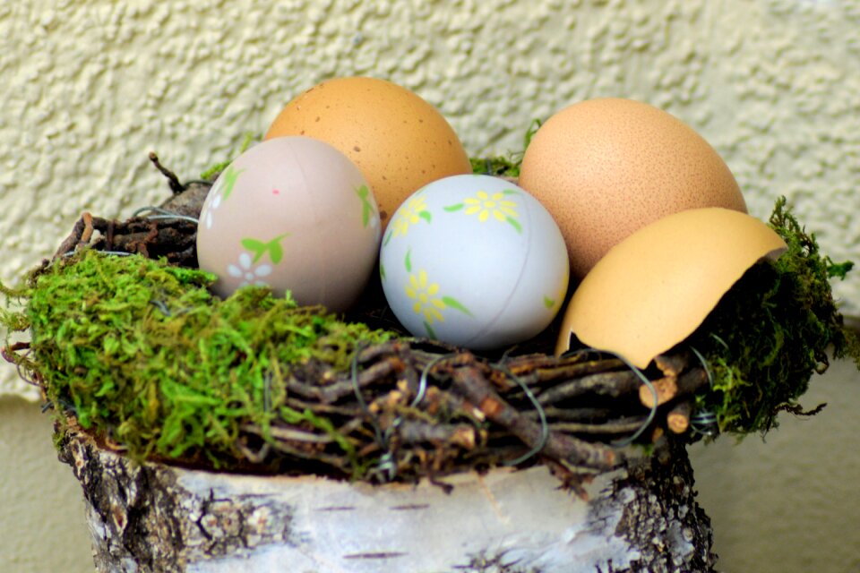 Easter nature eggshell