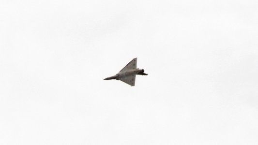 ROCAF Mirage 2000-5 2012 Flight Demonstration in Chiayi AFB 20120811b