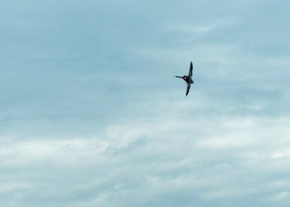 ROCAF Mirage 2000-5EI 2015 Flight Demonstration in Hsinchu AFB 20151121a
