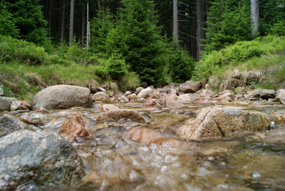Nature waterfall the brook