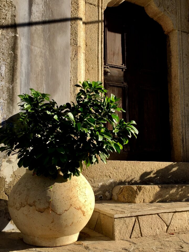 Antique vase door