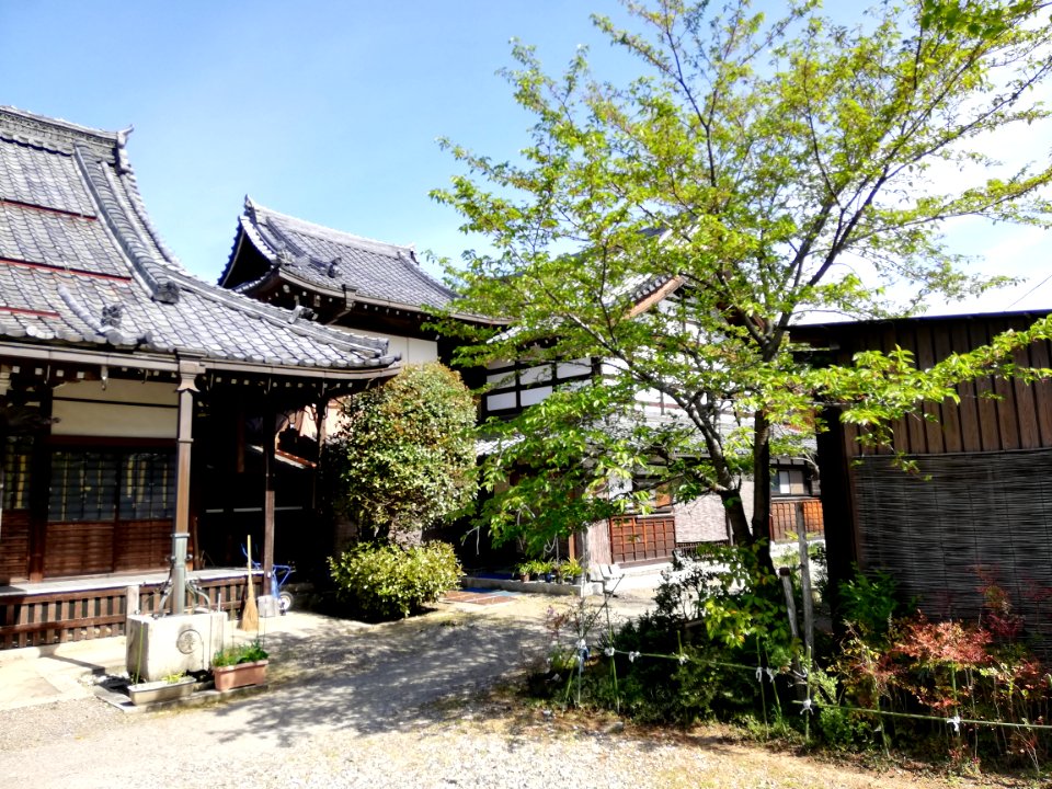 Rengesan Myōgon-ji Temple 20210422 03