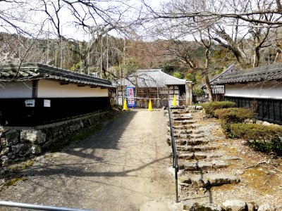 Reitsūzan Seiryū-ji Tokugen-in Temple 20210308 03