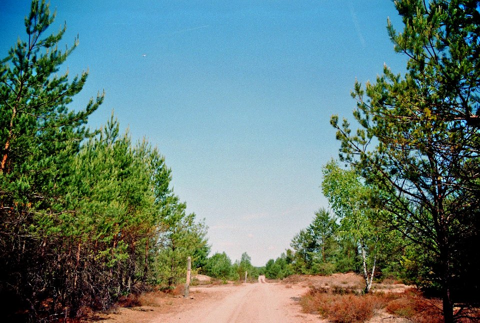 Reicherskreuzer Heide 08