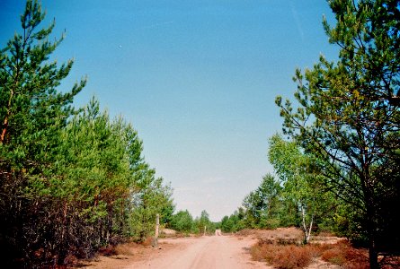 Reicherskreuzer Heide 08