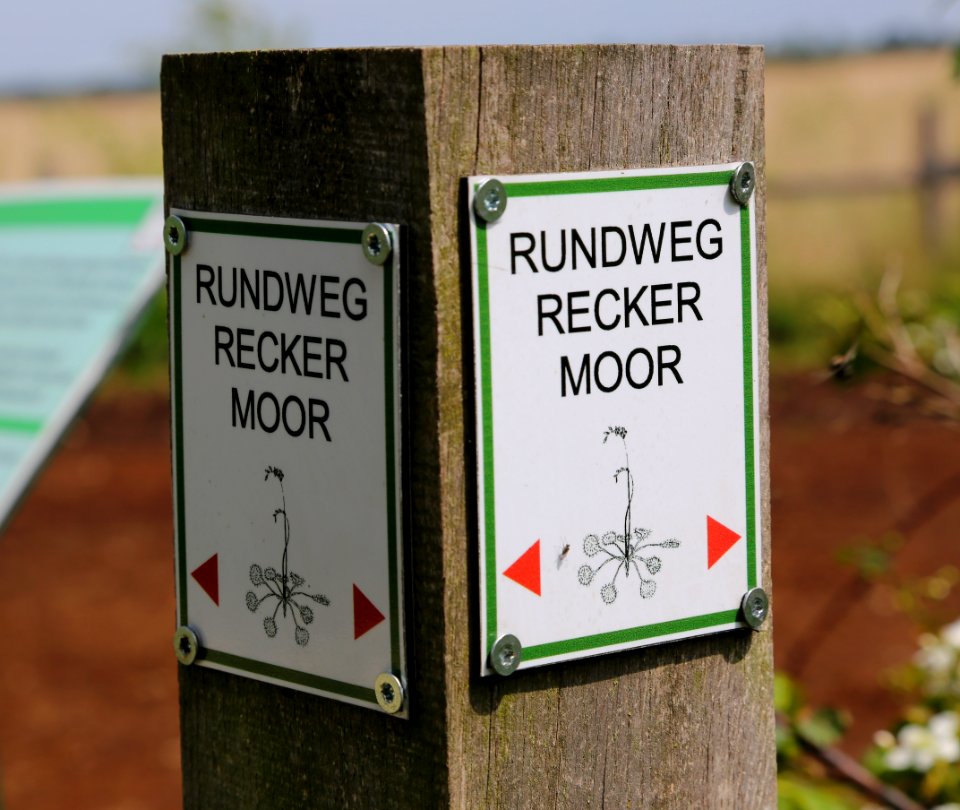 Recker Moor Signs 01