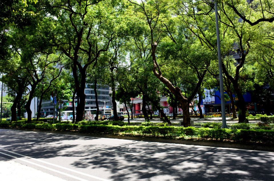 Refuge island of Dunhua North Road in Sunny Day 20150628