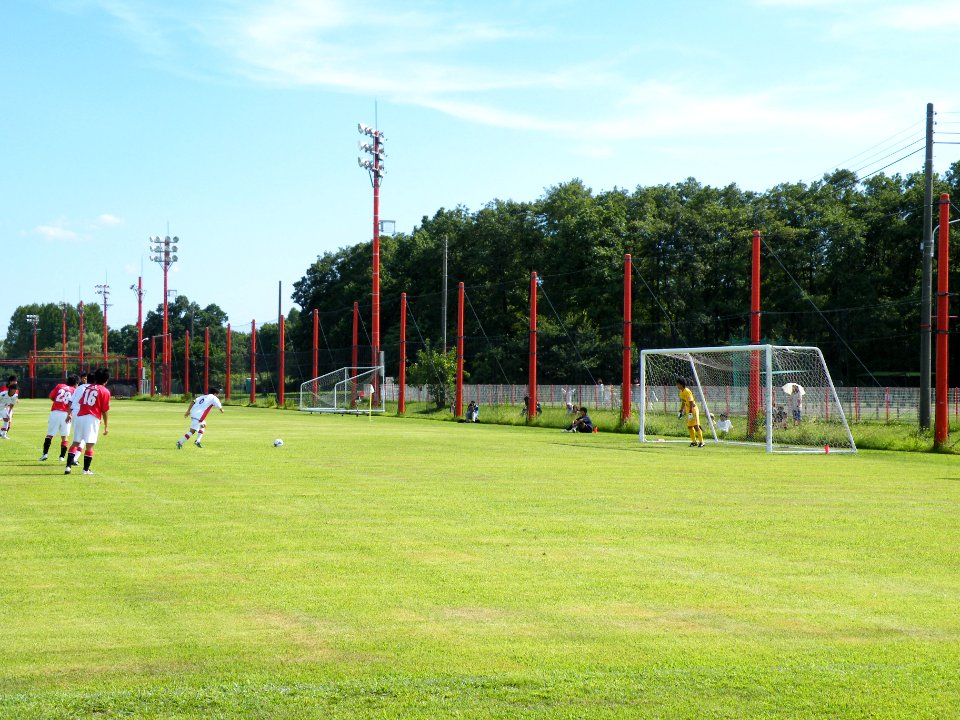 RedsLand Natural Pitch