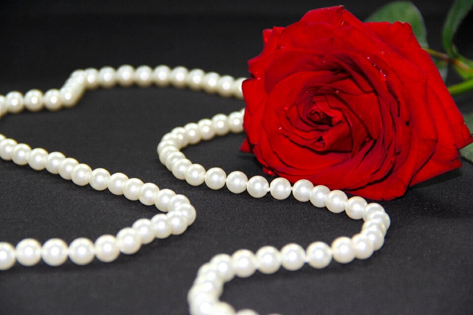 Red luxurious jewelry