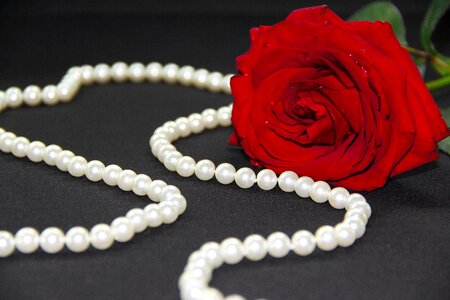 Red luxurious jewelry