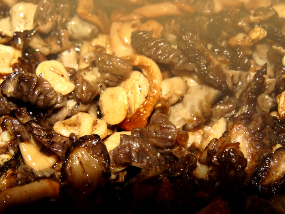 Roasted early morels 09