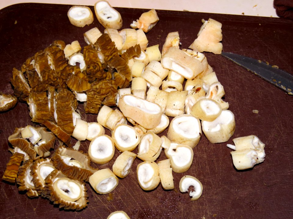 Roasted early morels 02