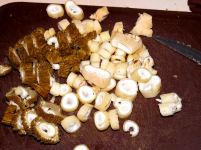 Roasted early morels 02