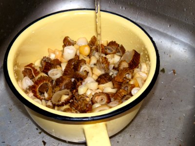 Roasted early morels 04