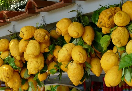 Citrus yellow fruit photo