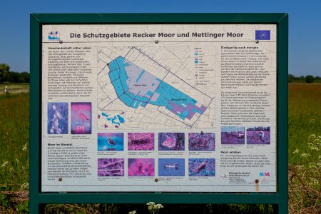 Recker Moor Information Board 03