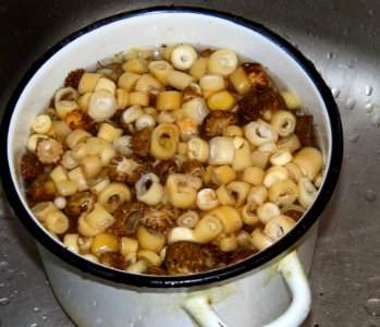 Roasted early morels 03