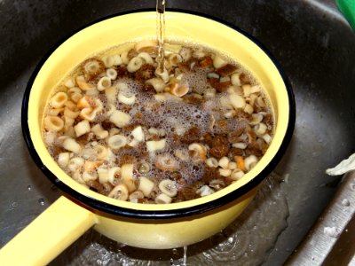 Roasted early morels 07