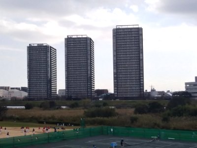 Riverie from Rokugo bridge