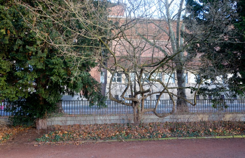 Rheingärtchen Düsseldorf, Dezember 2019 (08)