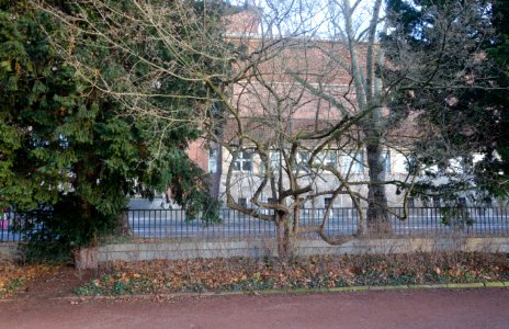 Rheingärtchen Düsseldorf, Dezember 2019 (08)