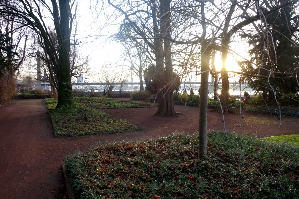 Rheingärtchen Düsseldorf, Dezember 2019 (04)