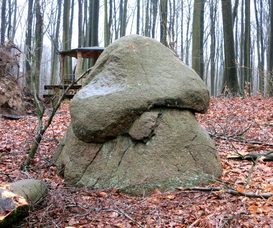 PilzsteinFrankfurtOderStadtwald1