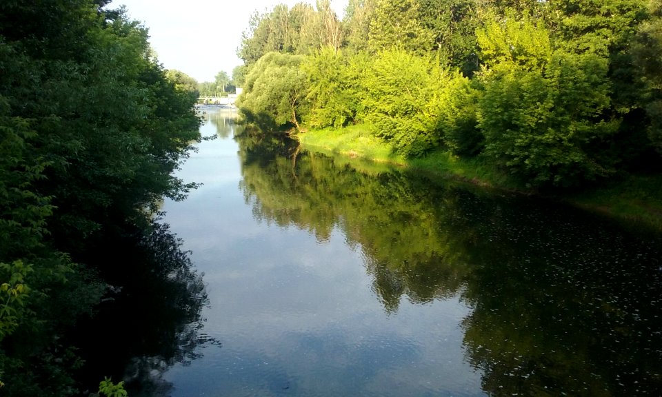 Pilica w Tomaszowie Mazowieckim. Widok z mostu na Brzustówce (czerwiec 2018)