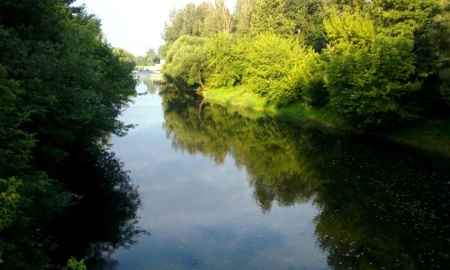 Pilica w Tomaszowie Mazowieckim. Widok z mostu na Brzustówce (czerwiec 2018)