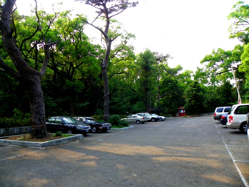 Pilu Zen Temple Car Park 20100327a