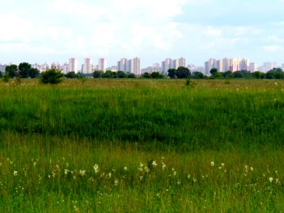 Pohreby meadows6