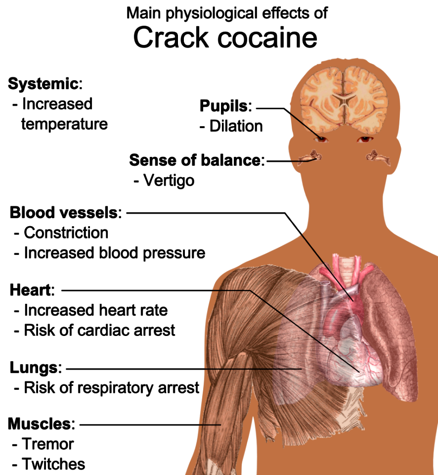 Physiological effects of Crack cocaine