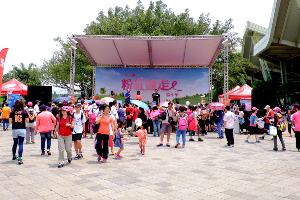 Pink Hiking Carnival Stage in Taipei Expo Park 20150509