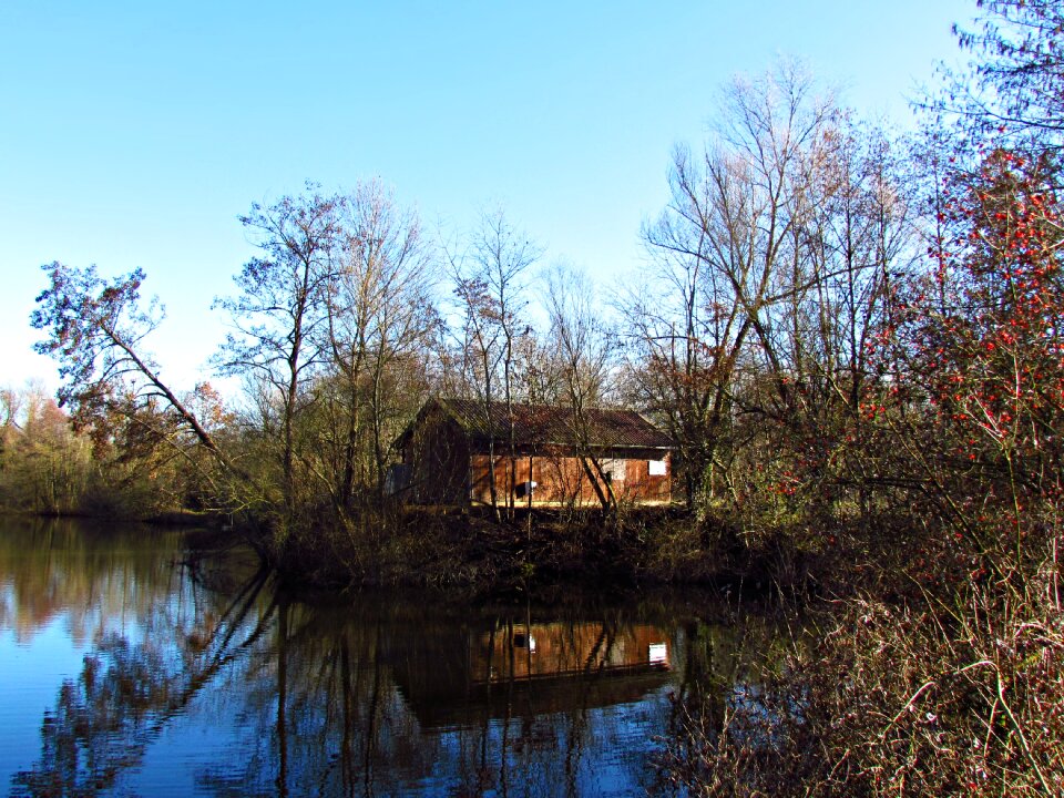 Cottage wooden nature