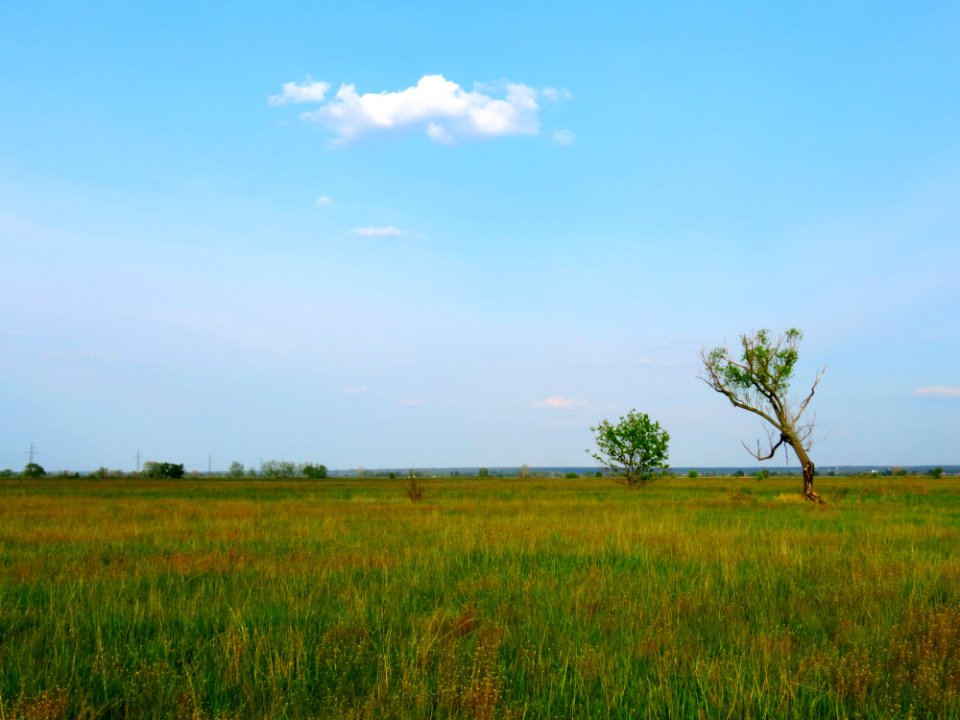 Pohreby meadows1