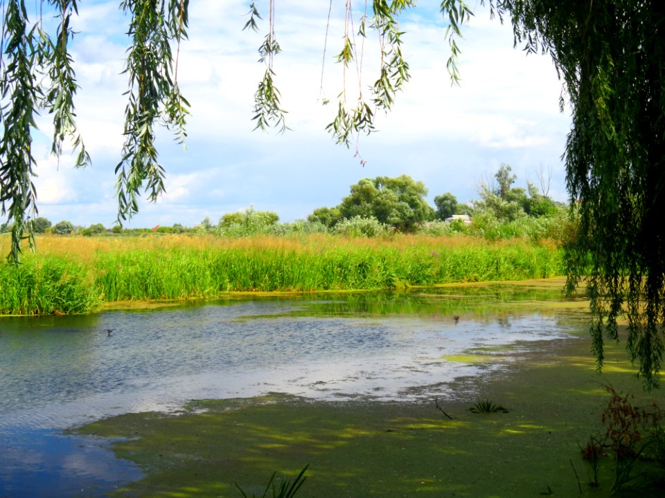 Pohreby Radusen4
