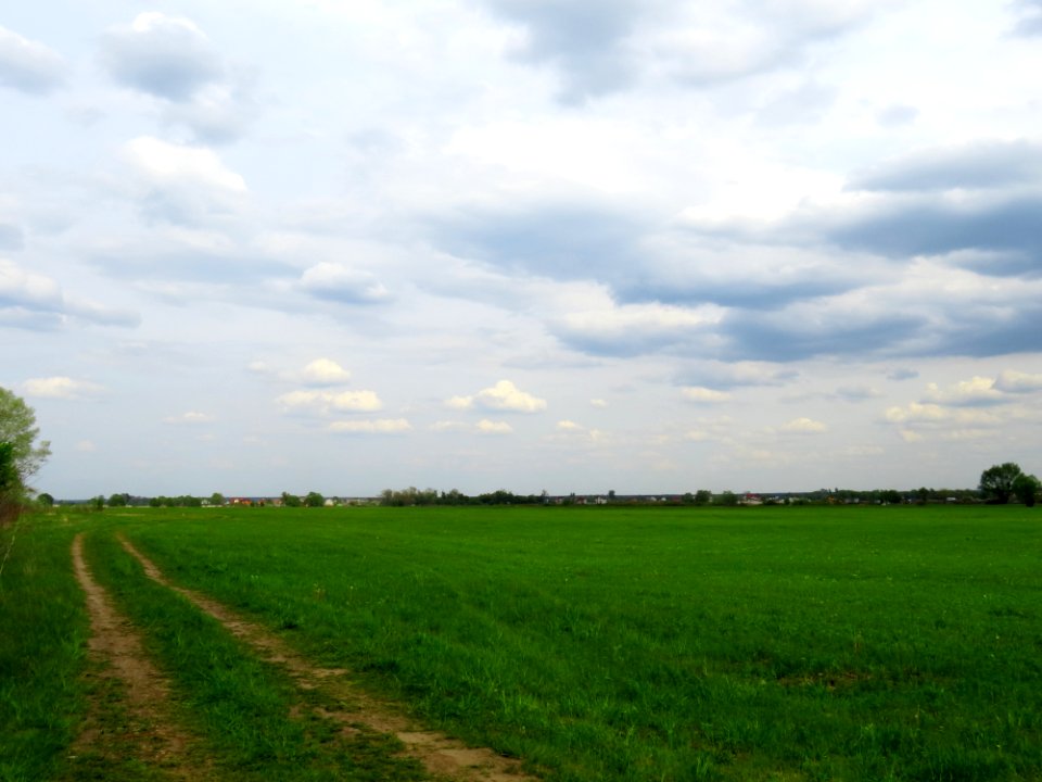 Pohreby (Brovary) from lake